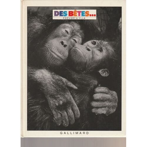 Des Bêtes...