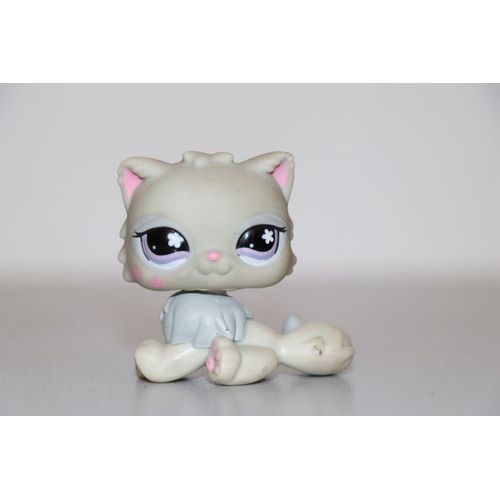 Petshop Chat Persan N° 609