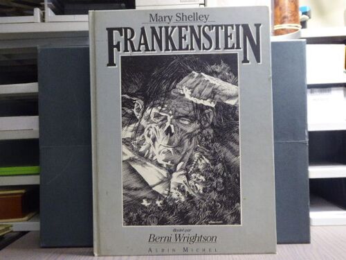 Frankenstein Ou, Le Prométhée Des Temps