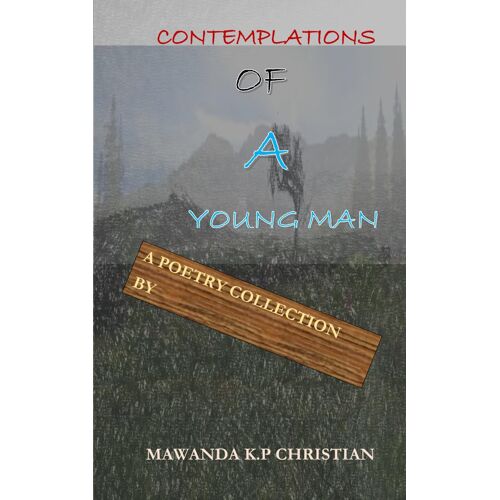 Contemplations Of A Young Man