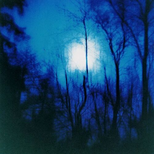 Flying Saucer Attack - Further - Vinilo
