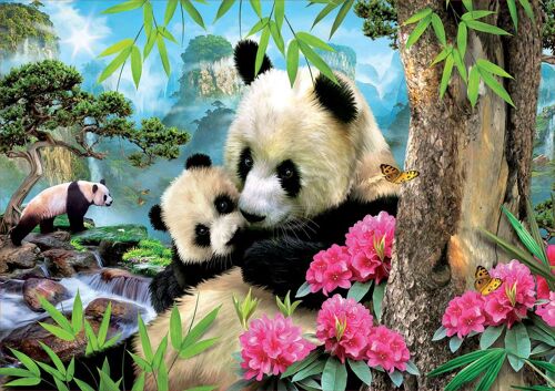 Educa 1000 Pandas