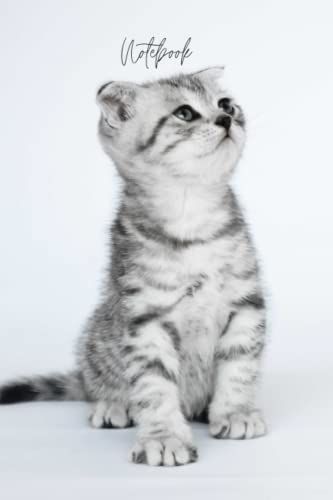 Notebook: Kitten Striped Cat Notebook 6x9 110 Pages Lined Paperback