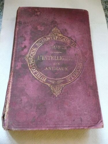 L'intelligence Des Animaux