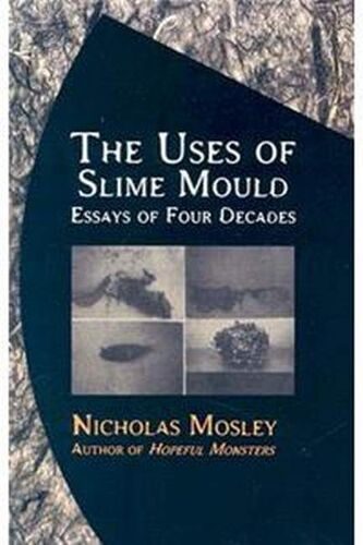 The Uses Of Slime Mould