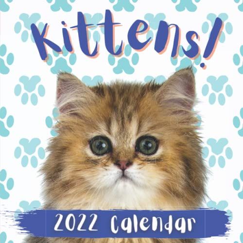 Kitten Calendar: Cuteness Overload! This 12 Month Calendar Is Filled With Adorable Kittens. Makes A Great Cat Lovers Gift! (Cat Calendar)