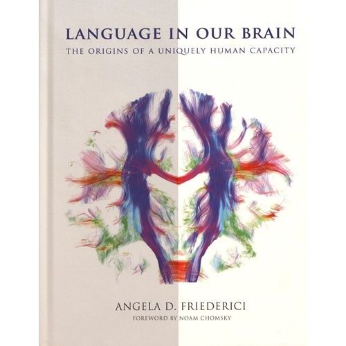 Language In Our Brain