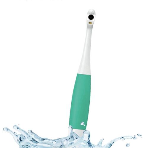 Visuel Dents Miroir HD Wifi Intelligence Visuelle Dents Endoscope Dents Examinateur Dents Étanches Endoscope Buccal Vert