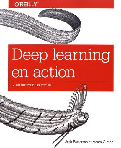 Deep Learning En Action - La Référence Du Praticien
