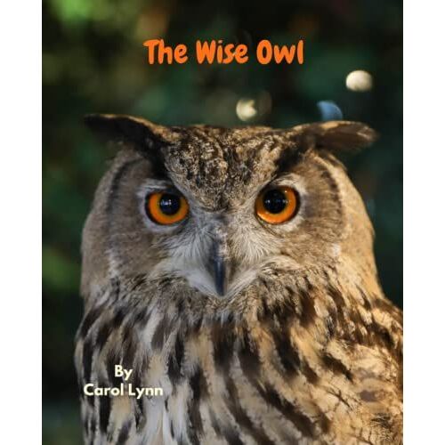 The Wise Owl (Tales For Tots By Carol Lynn)