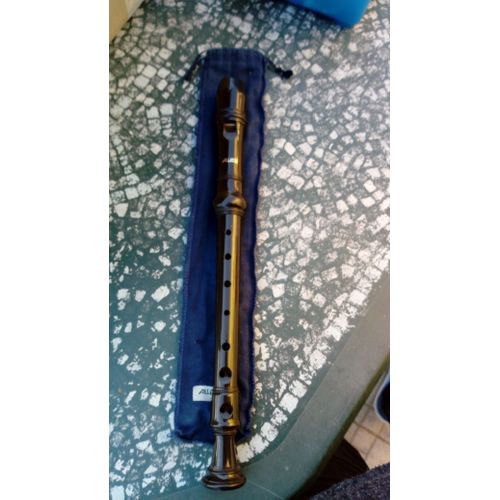 Flute A Bec Aulos