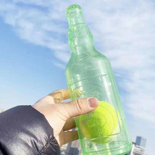 Jouet À Mâcher Pour Animaux De Compagnie, Bouteille De Bière Résistante Aux Morsures Tpr Avec Balle De Tennis, Jouet De Broyage Des Dents De Chiot, Jouets Interactifs À Mâcher Pour Chien--Green