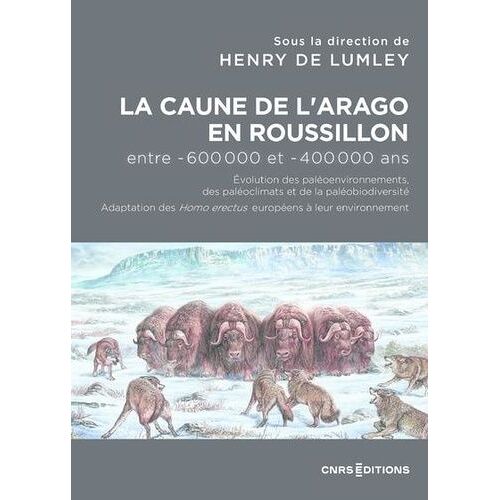 La Caune De L'arago En Roussillon Entre -600 000 Et -400 000 Ans - Evolution Des Paléoenvironnements, Des Paléoclimats Et De La Paléobiodiversité. Adaptataion Des Homo Erectus Européens À...
