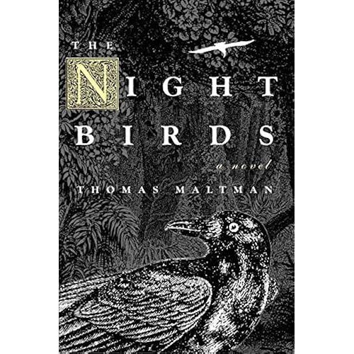The Night Birds