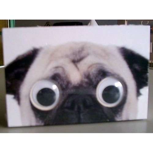 Chien . Boite De Rangement + 50 Memos / Crayon Hd 15 X10 X 4 Cm