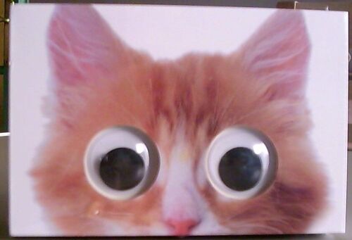 Chat Boite De Rangement + 50 Memos / Crayon Hd 15 X10 X 4 Cm