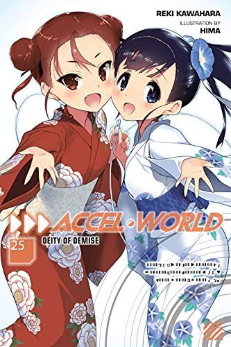 Accel World, Vol. 25 (Light Novel)