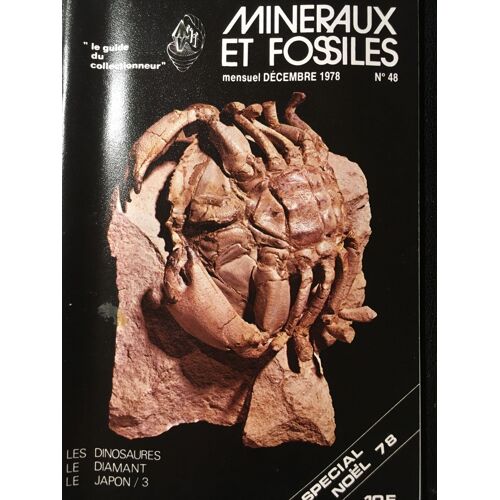 Minéraux Et Fossiles N° 48 Le Guide Du Collectionneur