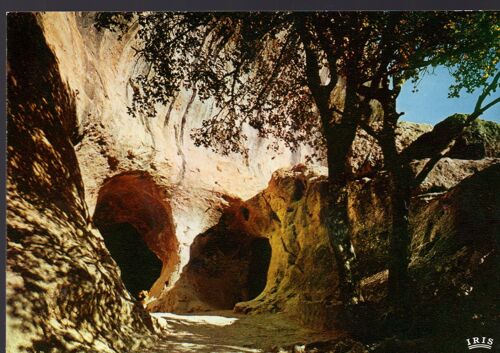 Carte Postale Des Eyzies (Dordogne) Grotte De Font De Gaume : L' Entrée