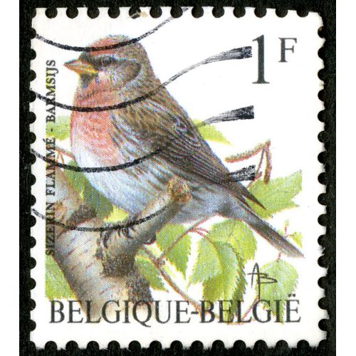 Timbre Oblitéré Belgique, België, Sizerin Flammé - Barmsijs, 1f
