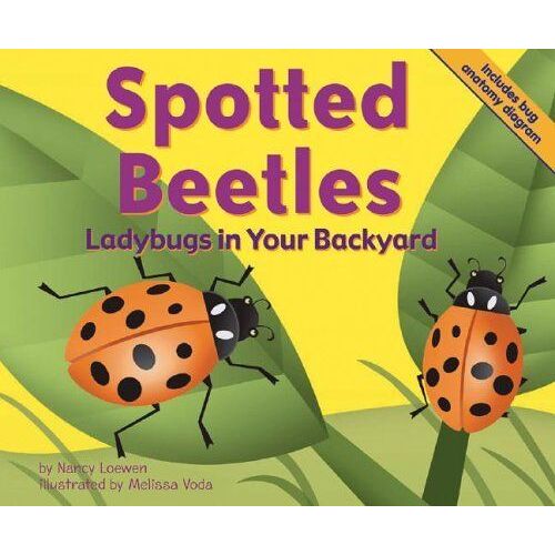 Spotted Beetles: Ladybugs In Your Backyard