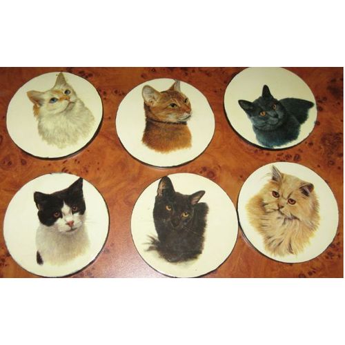 Six Dessous De Verre Ronds Représentant Des Portraits De Chats-Présentés En Coffret Sans Couvercle Rouge Foncé Marbré De Noir-Diamètre Sous Verre 9.5cm-Diamètre Boitier 11cm-1 Face Chat/1 Face Noire