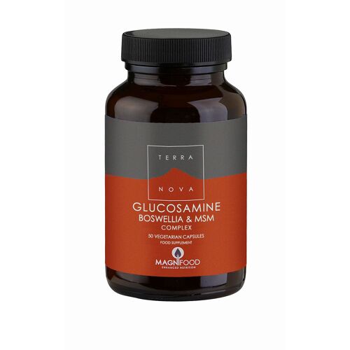 Terranova Glucosamine, Boswellia & Msm Complex 100's 
