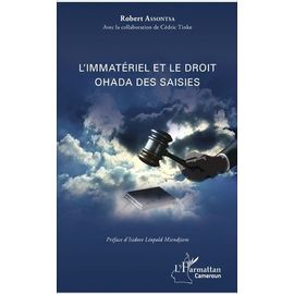 L'immatériel Et Le Droit Ohada Des Saisies