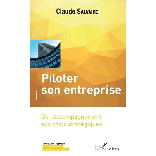 Piloter Son Entreprise - De L'accompagnement Aux Choix Stratégiques