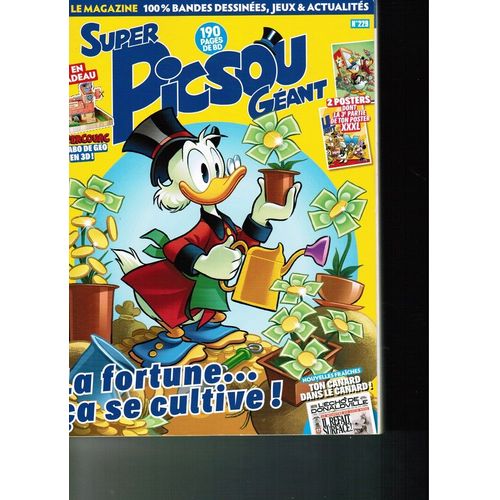 Super Picsou Geant 229