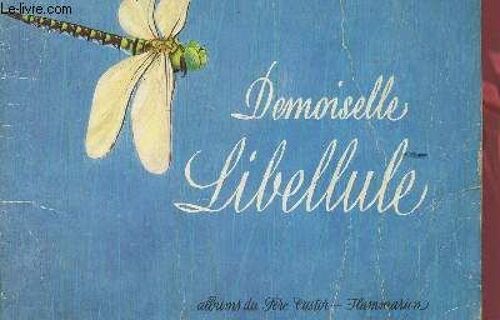 Demoiselle Libellule