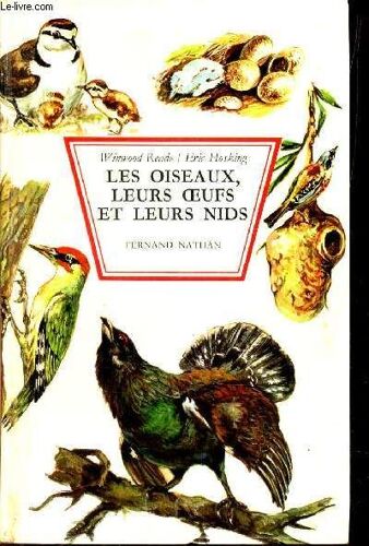 Les Oiseaux, Leurs Oeufs Et Leurs Nids.