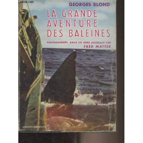 La Grande Aventure Des Baleines