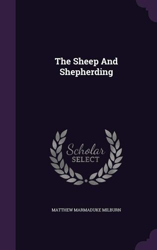 The Sheep And Shepherding