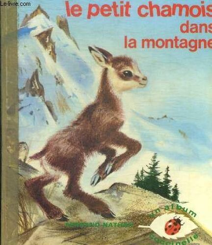 Le Petit Chamois Dans La Montagne