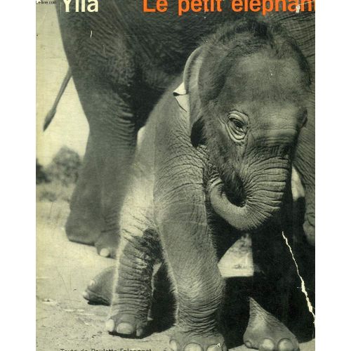 Ylla Le Petit Elephant