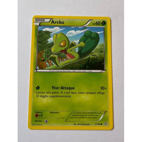 Carte Pokémon Arcko 6/160