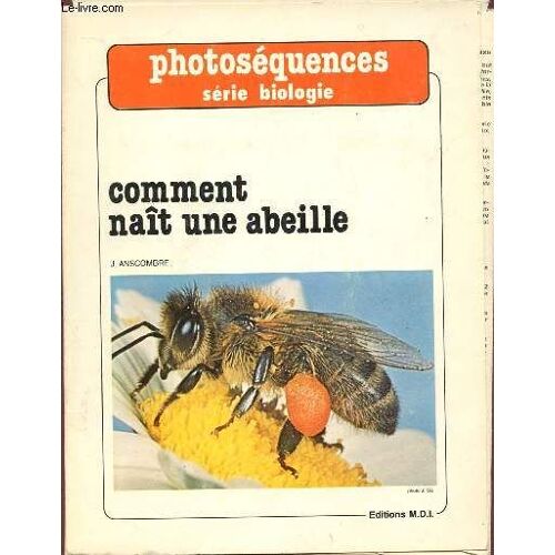 Phtosequences - Serie Biologie : Comment Nait Une Baille