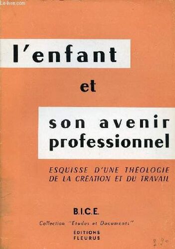 L Enfant Et Son Avenir Professionnel : Esquisse D Une Theologie De La Creation Et Du Travail