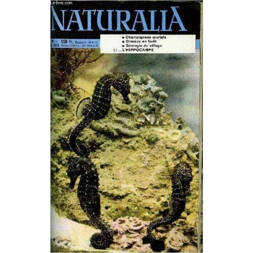 Naturalia N° 36 - Découverte Sur Une Plage Par M.L. Bauchot, Palmeraies De Mauritanie Par O. Du Puigaudeau, Des Oiseaux En Foret Par P. Barruel, Les Champignons, Ces Mal Connus Par B. Mantoy, Réserves(...)