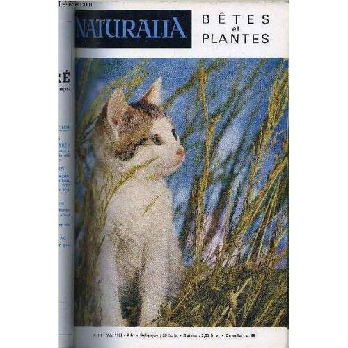 Naturalia Betes Et Plantes N° 116 - Un Insecte Domestique : Le Ver A Soie Par Philippe Joly, Fiancailles D Oiseaux Par Claude Marly, Si Nous Faisions Un Herbier Par Nicolas Martin, Nos Félins Sauvages(...)