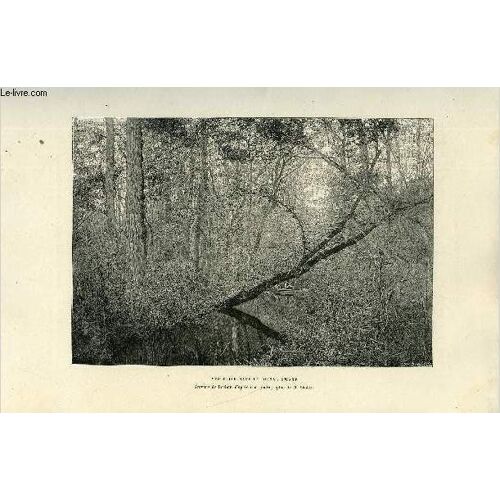 Nouvelle Geographie Universelle - La Terre Et Les Hommes - Xvi. Les Etats-Unis - Chapitre Iv : Les Appalaches Et Les Etats Du Versant Atlantique - Les Appalaches, Système Des Monts Appalachiens(...)