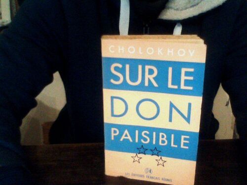 Sur Le Don Paisible ****