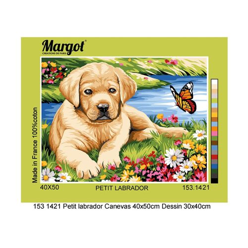 Canevas Margot Petit Labrador 40x50 Cm - Mrc1531421