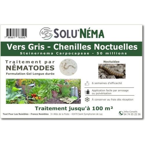 SOLUNEMA - Nématodes SC - Vers Gris - 50 millions Nématodes Steinenerma