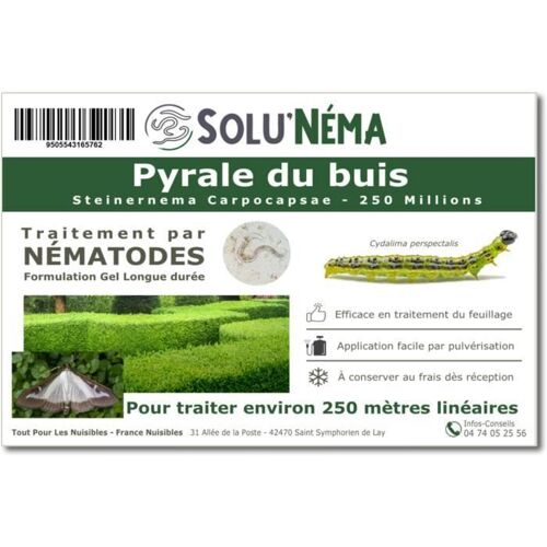 SOLUNEMA - Nématodes SC Contre la Chenille Pyrale du buis - 250 millions Steinernema Carpocapsae