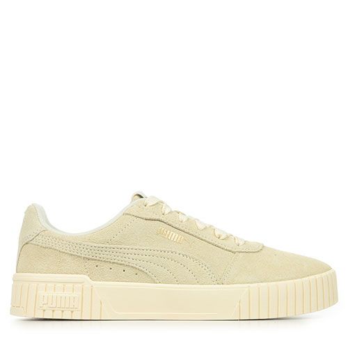 Puma Carina 2.0 Sd