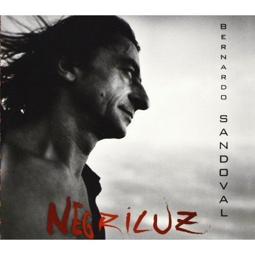 Negriluz