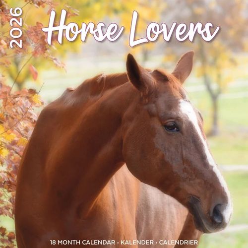 Calendrier Amour De Chevaux 2026