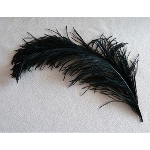 Plume
